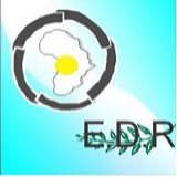 EDR